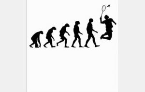 Reprise du Badminton pour les Adultes